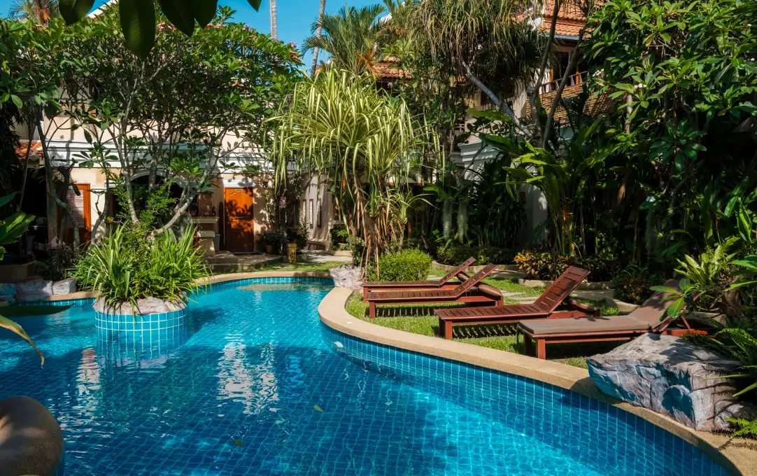 Landscaping around pool area Gold Coast Landscaping around pool area Gold Coast