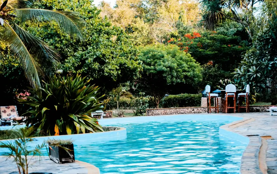 pool and landscaping Gold Coast pool and landscaping Gold Coast